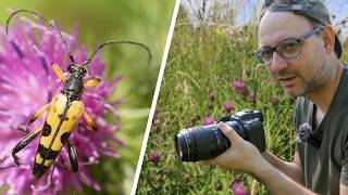 How to Photograph Macro Subjects in the Field amp Tips on Handholding Canon EF 100mm F28 Lens [upl. by Elysee]