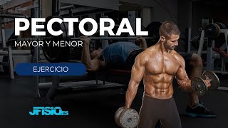 EJERCICIO de PECTORAL Mayor y Menor [upl. by Asilana636]