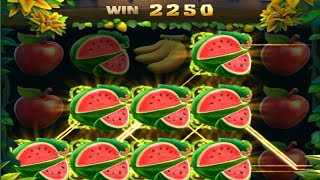 Jungle Delight Yono Games High Betting Yonogame24 [upl. by Sabian]