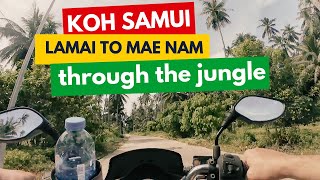 🇹🇭 Koh Samui · Thailand · From Lamai to Mae Nam immigration through the jungle in 3 minutes [upl. by Joye91]