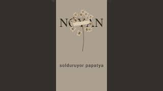 NOYAN  Veda Zamanı papatya [upl. by Prudhoe]