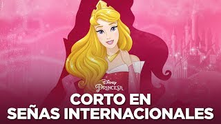 Descubriendo La Bella Durmiente en señas internacionales  Disney Princesa [upl. by Burnley]