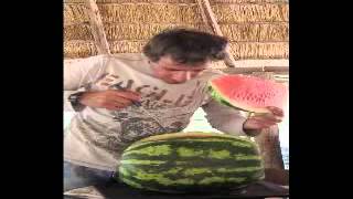 Record Watermelon  Angola  Wassermelone  Pastèque  Sandía  Melancia [upl. by Dranyl]