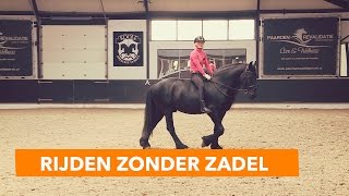 Basis paard rijden zonder zadel  PaardenpraatTV [upl. by Jerrome]