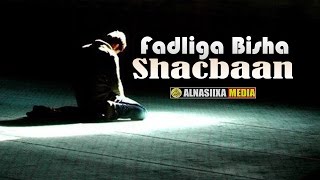 FADLIGA BISHA SHACBAAN ᴴᴰ┇Alnasiixa Media 🎥 [upl. by Yug423]