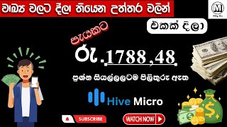 How to Earning 5 per Hour with HIVE WORK  HIVE MICRO  Job Answer [upl. by Elidad]