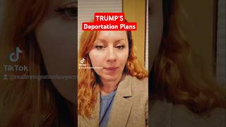 Deportation News Today [upl. by Tynan508]