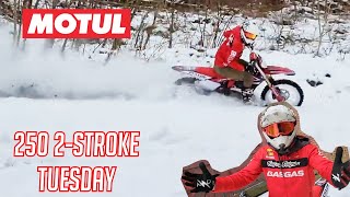 TWO STROKE TUESDAY 2024 GASGAS MC250 FULL DEMO amp REVIEW FULL SEND IN 4K [upl. by Tootsie]