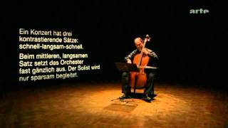 Il Giardino Armonico  Vivaldi  Concerto for cello in A minor RV 419 PART2 [upl. by Wamsley]