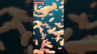 Gram Positive And Gram Negative Bacteria biology health science medical [upl. by Acnalb]