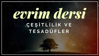 Evrim Dersi 4 Çeşitlilik ve Tesadüfler [upl. by Thayer272]