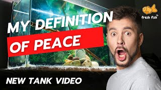 My Definition of Peace  New Aquarium Tank Video 2024 [upl. by Laius]