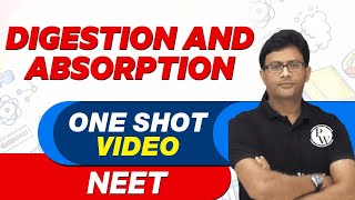 DIGESTION amp ABSORPTION in 1 Shot  All Concepts Tricks amp PYQs  NEET Crash Course  UMEED 20 [upl. by Onivla333]