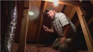 Pest Control  How to Remove Bees From the Attic [upl. by Emylee153]