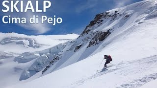 Skialp Cima di Pejo 3549m Ghiacciaio dei Forni SO Lombardia  Italy [upl. by Lemahs762]