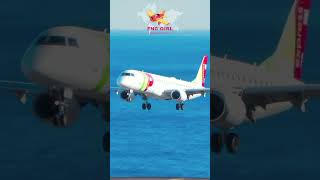 Spectacular Landing Of Tap Air Portugal Embraer E190 [upl. by Bartolome]