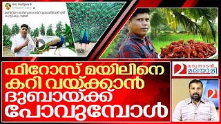 ഫിറോസേ മയിലിനെ കറി വയ്ക്കാമോ I About Firoz chuttipara [upl. by Salisbarry220]