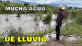 A Llovido Mucho Pero No Todas Las Presas De Zacatecas Se Están Favoreciendo🌧️🐄👏🐴🏞️ [upl. by Anigriv]