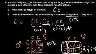 How to solve simple Mendelian genetics problems [upl. by Adamik]