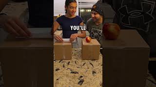 Apple Paper trick shorts magic tricks pranks prank funny trending youtubeshorts short fyp [upl. by Adnat834]