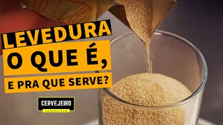 O QUE É A LEVEDURA E PRA QUE ELA SERVE [upl. by Allesiram]