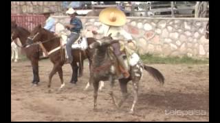 11  Lo Mejor de los Coleaderos  El Montecillo Jerez Zacatecas [upl. by Siffre204]