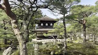 🇯🇵 Ginkakuji Temple is Jishoji Temple 20240224 [upl. by Wsan]