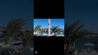 Ayia Napa in Late November Sunny yet windy after rain cyprus ayianapa rain windy flowers beach [upl. by Bodi]