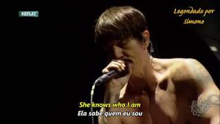 Under the Bridge  Red Hot Chili Peppers 2016 Tradução e Lyrics [upl. by Yrahcaz]