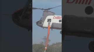 🔥Chinook dropping in for some water helicopter chinookhelicopter chinook wildfire firesafety [upl. by Ldnek]