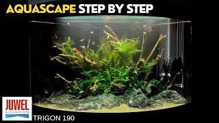 AQUASCAPING Tutorial  JUWEL Trigon 190 AQUARIUM [upl. by Eli45]