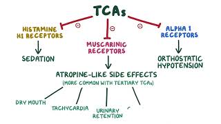 Tricyclic Antidepressants pharmacology 🔥OSMOSISFull mechanism side effects selflessmedicose [upl. by Granoff]