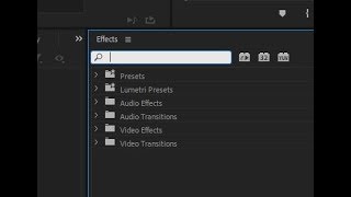 Highlight Premieres Effects Panel find box with ONE keypress  updated vid  macros for beginners [upl. by Nerahs]