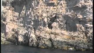 Kornati Excursion quotStipequot Tkon Croatia 2012 [upl. by Laddy972]