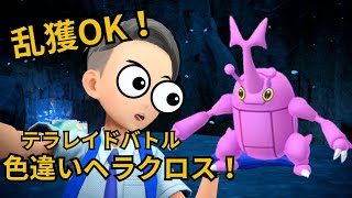 ２【ポケモンSV】乱獲OK色違いヘラクロス配布レイド！ [upl. by Essilec]