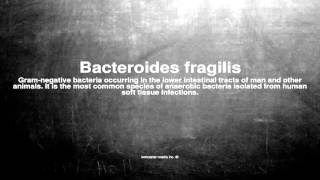 Medical vocabulary What does Bacteroides fragilis mean [upl. by Ursi]