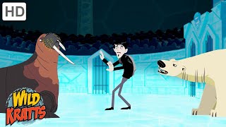 Winter Adventures Part 6  Happy Holidays  Wild Kratts [upl. by Nywles665]