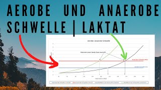 Aerobe und Anaerobe Schwelle  Laktat steady state  IAS IANS einfach erklärt [upl. by Lozar]