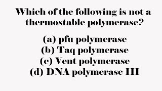 Which of the following is not a thermostable polymerase [upl. by Einnad229]