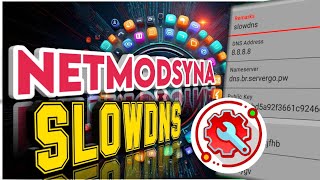 How To Setup NETMODSYNA VPN For SLOWDNS Settings  Complete Tutorial [upl. by Kruse596]