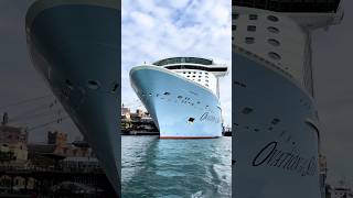 Ovation of the Seas arrival in SYDNEY  1st Nov 2024 [upl. by Nellda321]