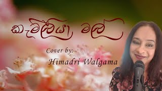 Camellia Mal Cover Kameliya Mal Suwadata  by Himadri Walgama [upl. by Dibrin]