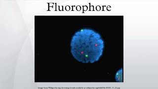 Fluorophore [upl. by Yroger]