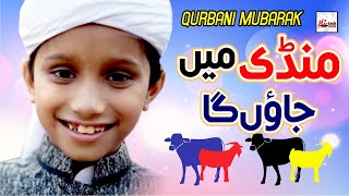 Qurbani Mubarak Bakra Eid  Mandi Mein Jaon Ga  Eid Al Adha amp Hajj Mubarak  HiTech Islamic Naat [upl. by Murrah142]