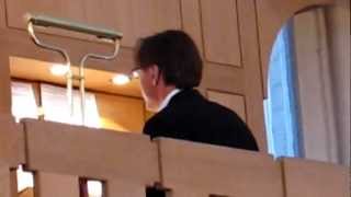 ODENSE DOMKIRKE ORGAN CONCERT [upl. by Stanly59]