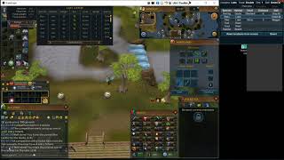 Runescape Fish Flingers guide [upl. by Ikcim774]