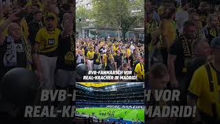 Die BVBFans stimmen sich in Madrid schon ordentlich ein 🔥 shorts [upl. by Reeta]