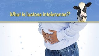 What is lactose intolerance [upl. by Kirimia361]