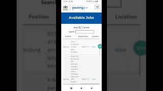 Job in South Africa Apply for jobs in South Africa on 06112024 [upl. by Eihpos]