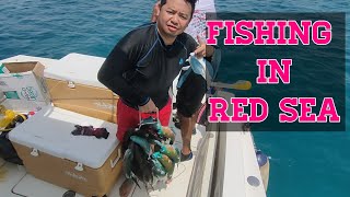 FISHING IN BAYADA REEF  JEDDAH SAUDI ARABIA [upl. by Raeann]